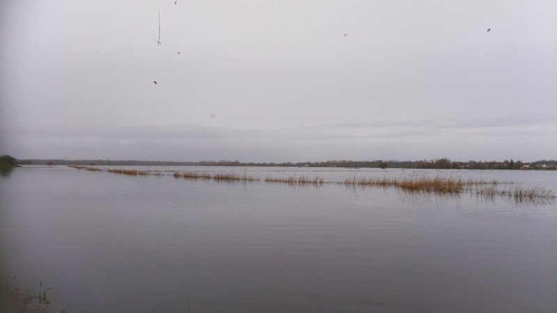 IMG_20200208_090606.jpg