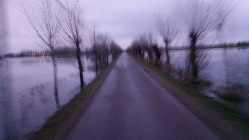IMG_20200208_081448.jpg