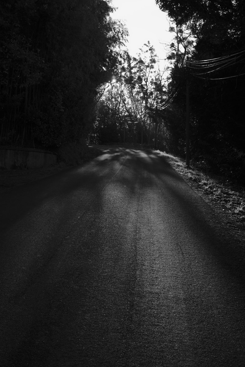 2020_02 part 4 (001).jpg