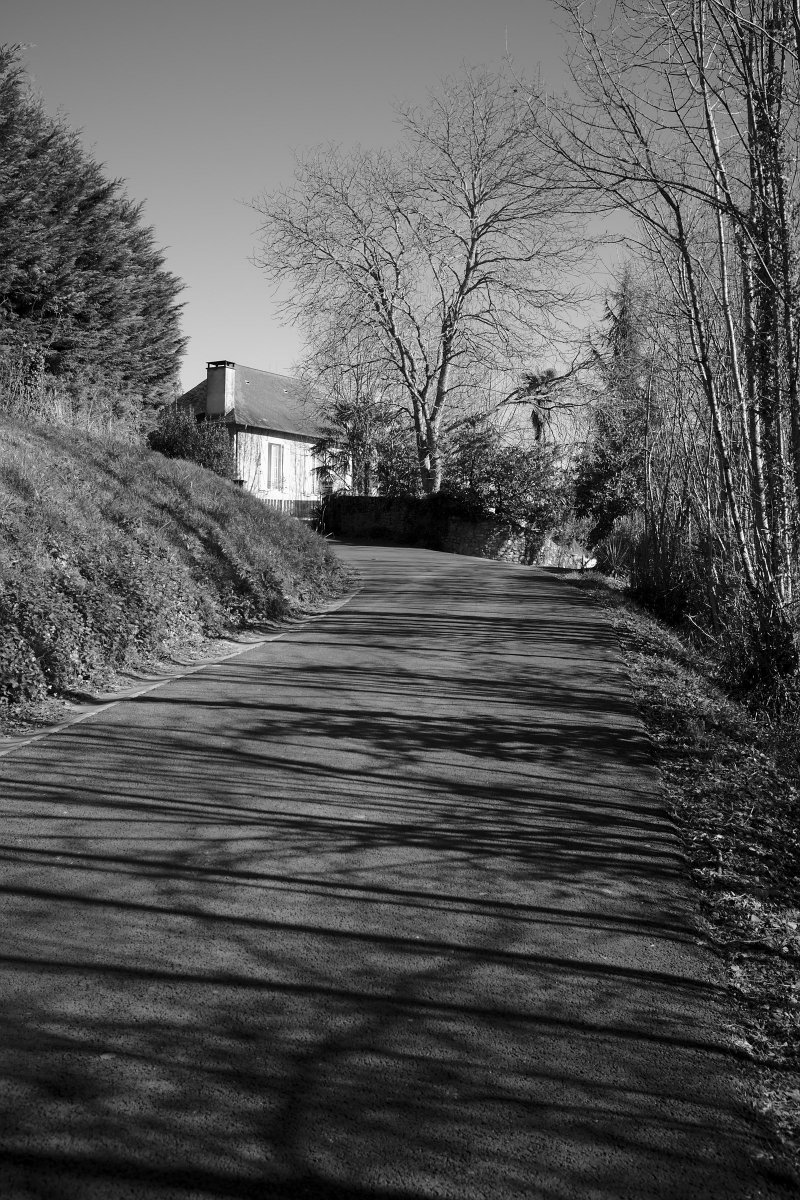 2020_02 part 4 (010).jpg