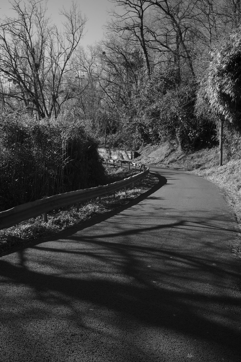 2020_02 part 4 (013).jpg