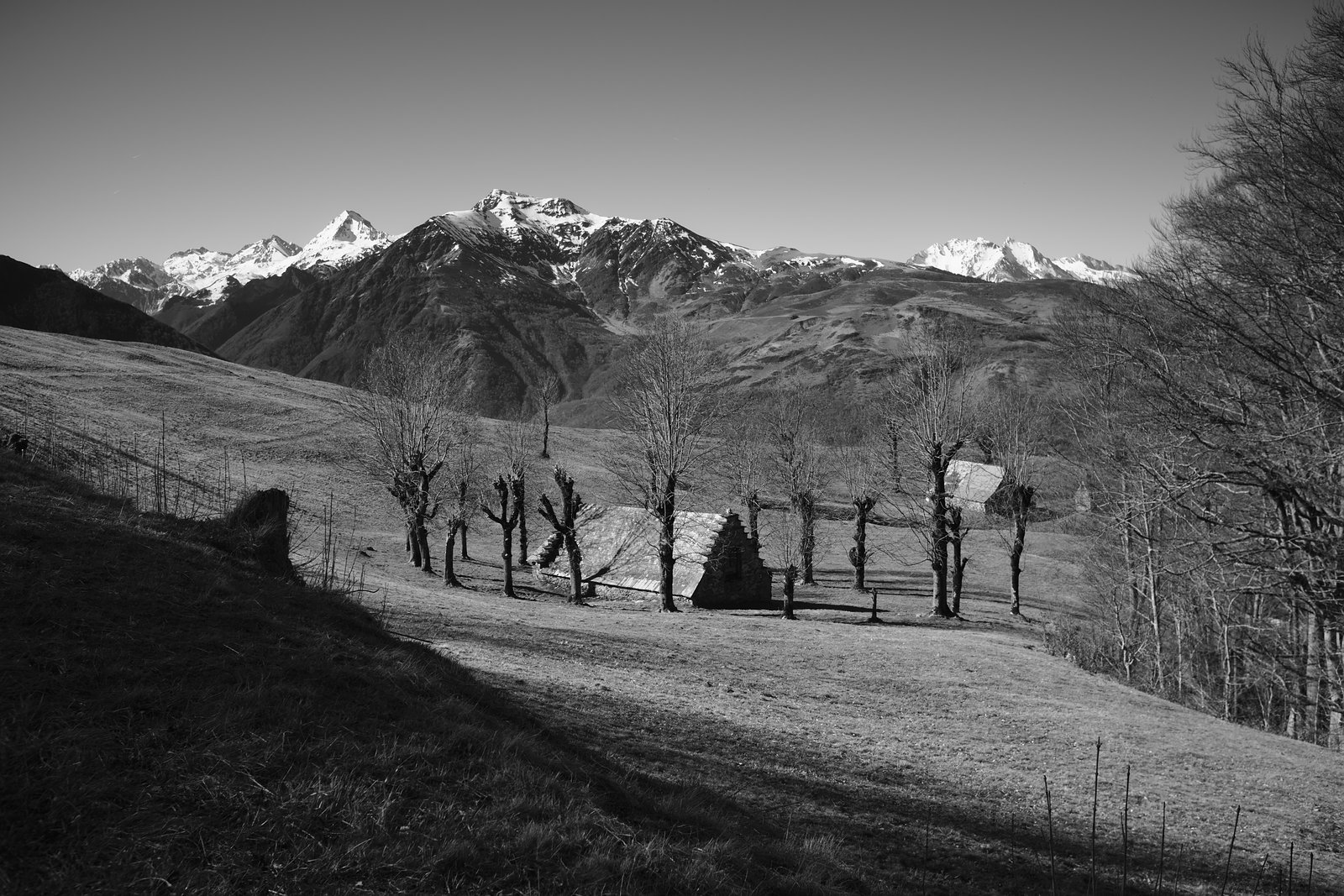 2020_02 part 5 (031).jpg