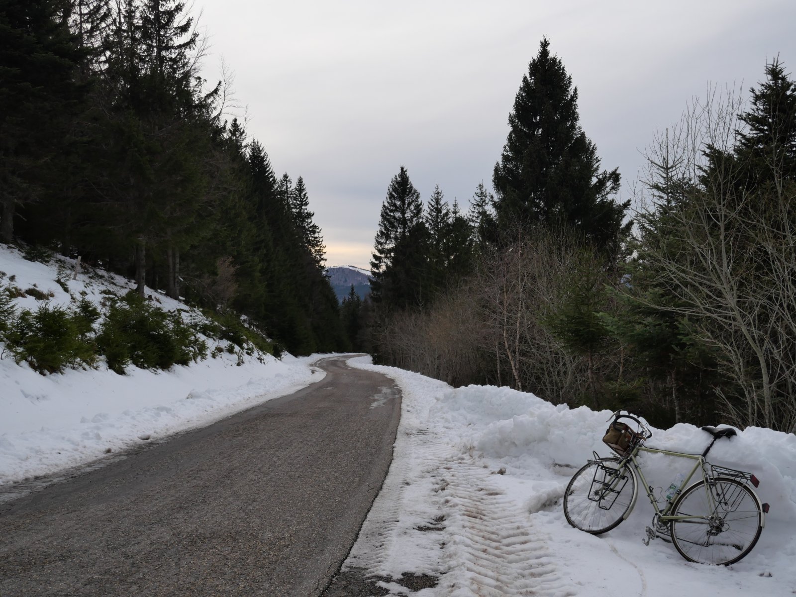 P1005650.JPG