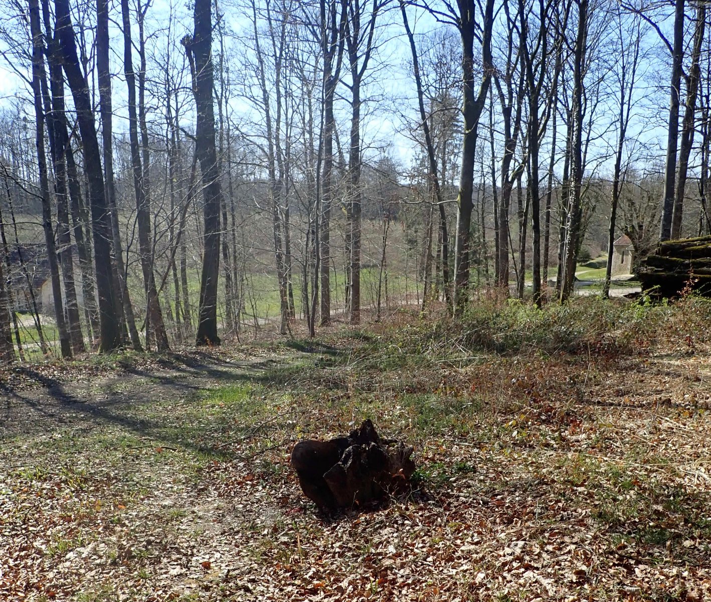 vers le cimetière.jpg