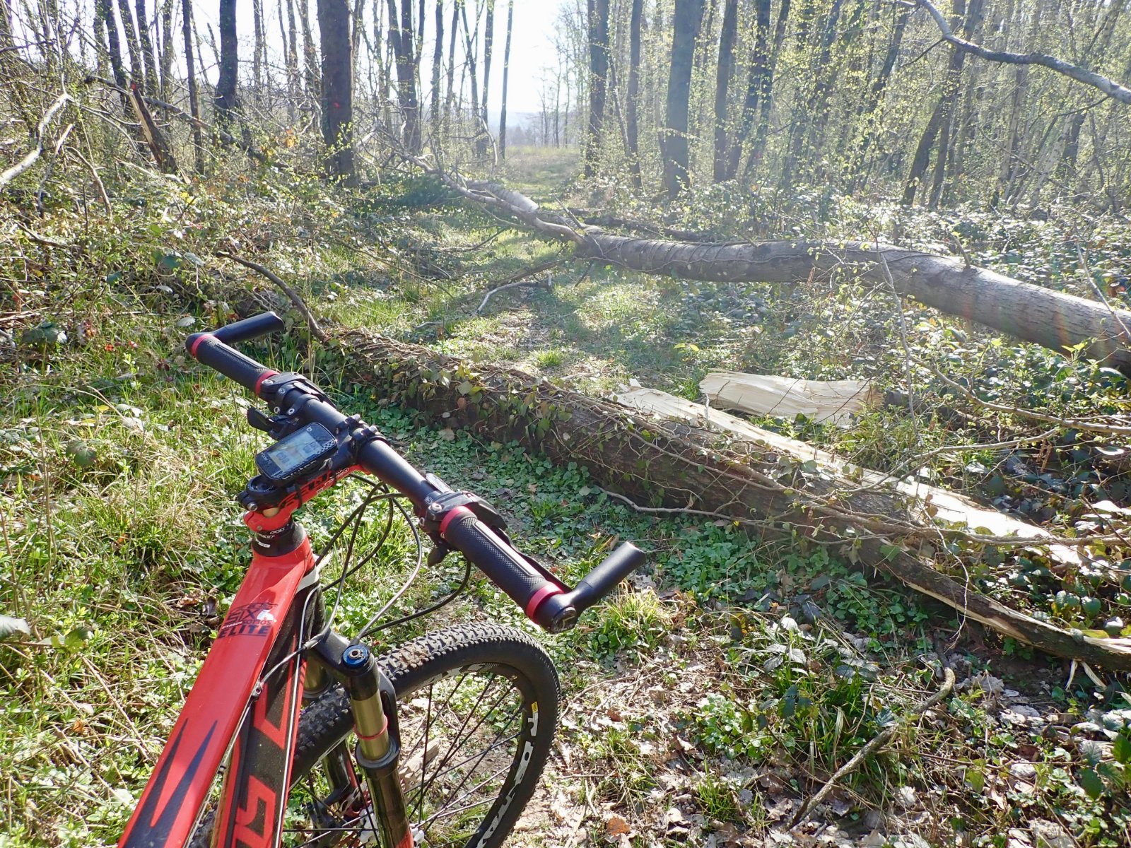 VTT 6-4-2020-2.jpg