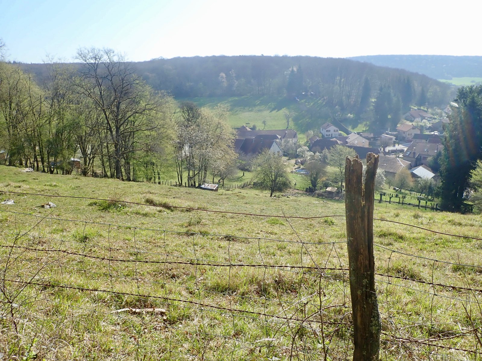 Courboux vu de la Côte.jpg