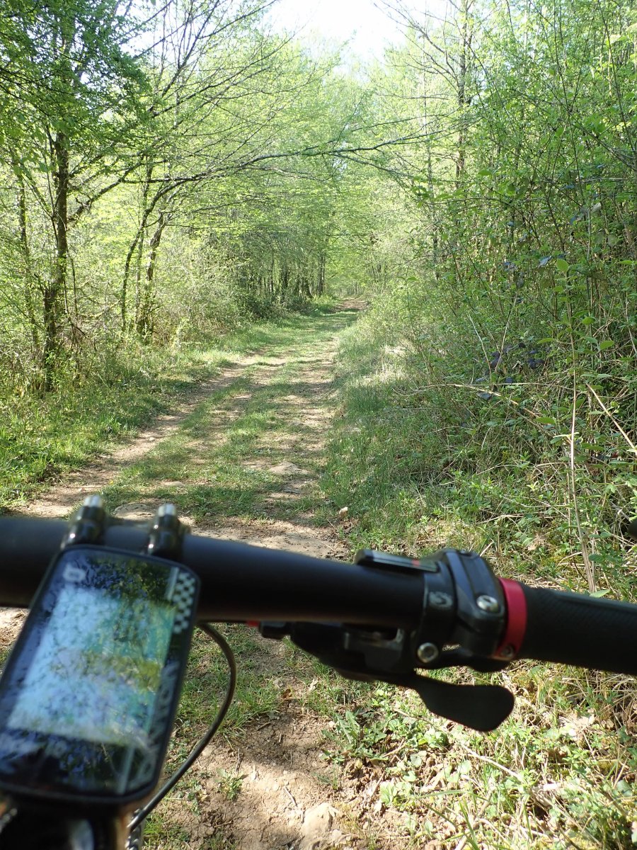 chemin de la Côte.jpg
