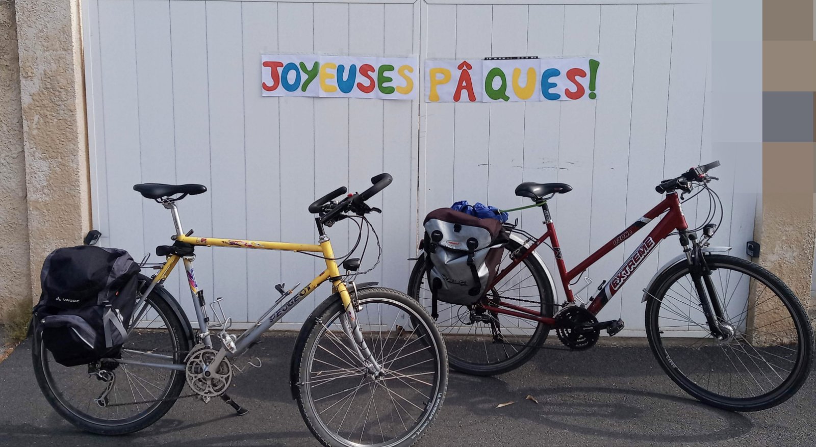IMG_20200412_121016.jpg