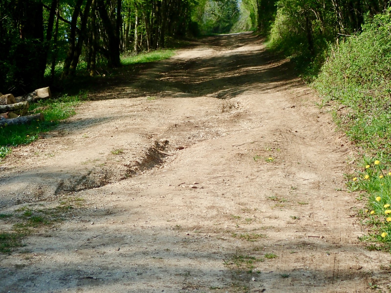 Chemin des Grandes Planches 2.jpg