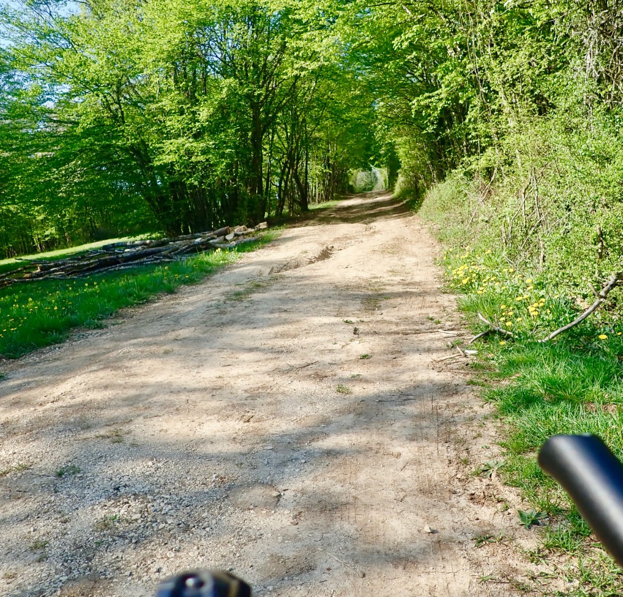 le chemin des grandes planches.jpg