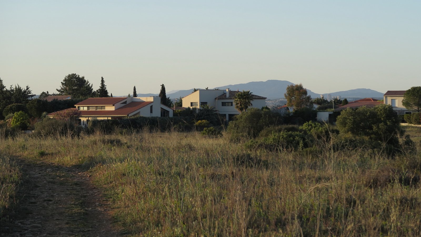 Pic St Loup et Hortus
