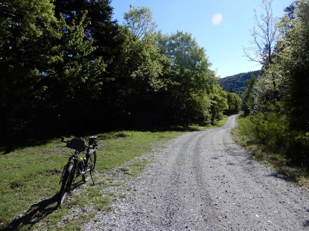 Route forestière de Serre-Verger