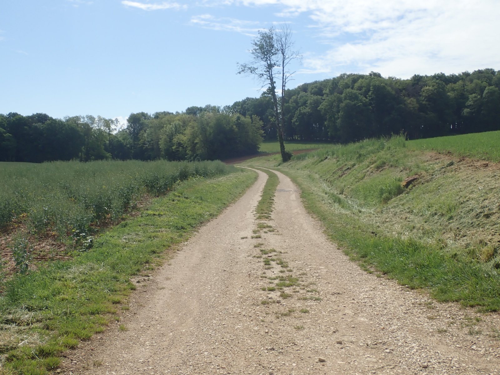 le chemin du tacot.jpg