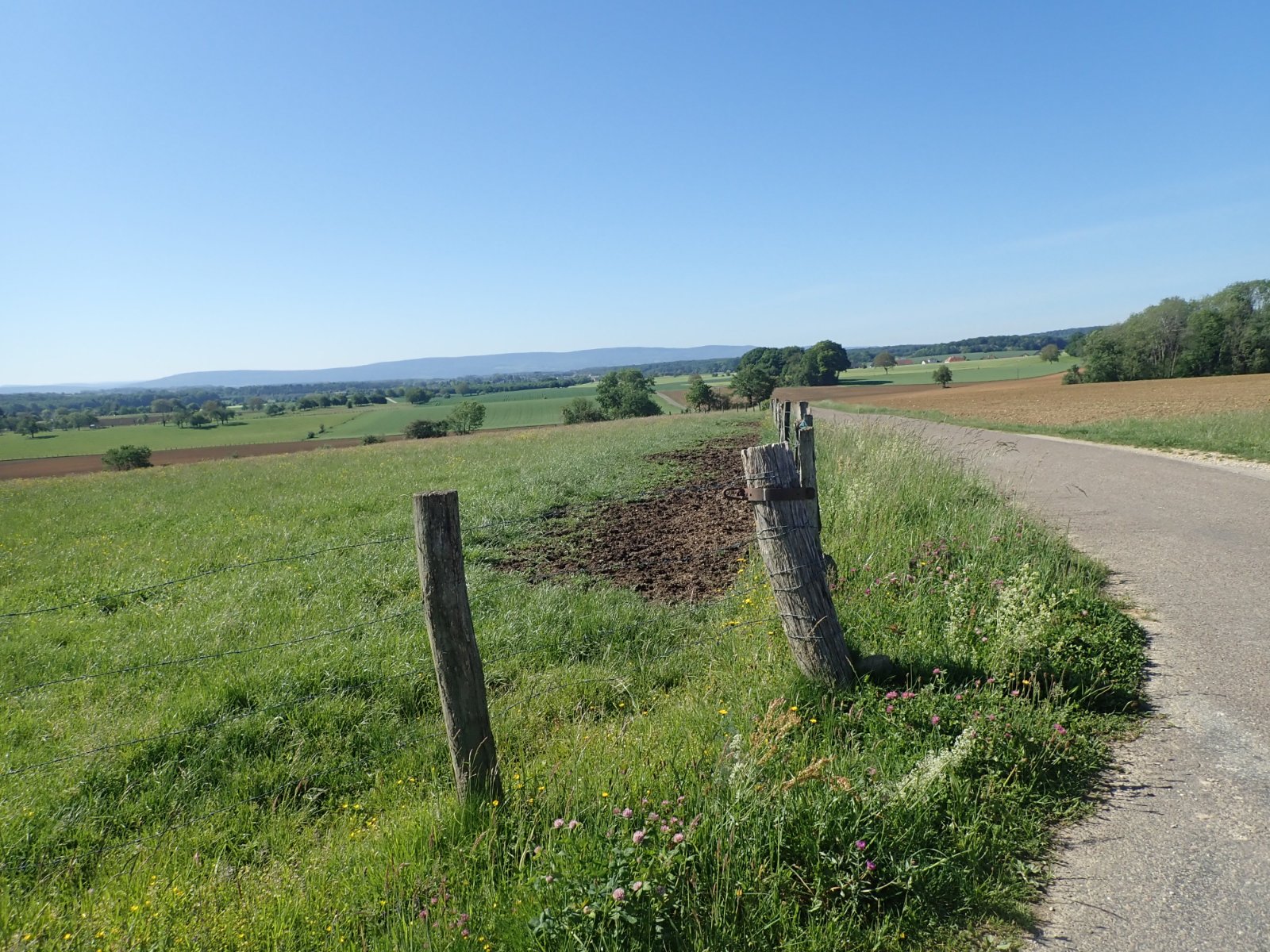 le haut de la Malachère (1).jpg