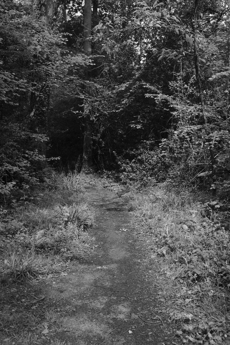 2020_05 part 2 (003).jpg