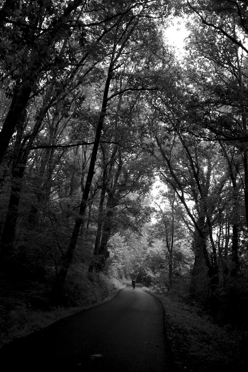2020_05 part 2 (012).jpg