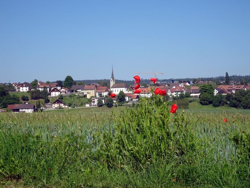 DSC02423.JPG