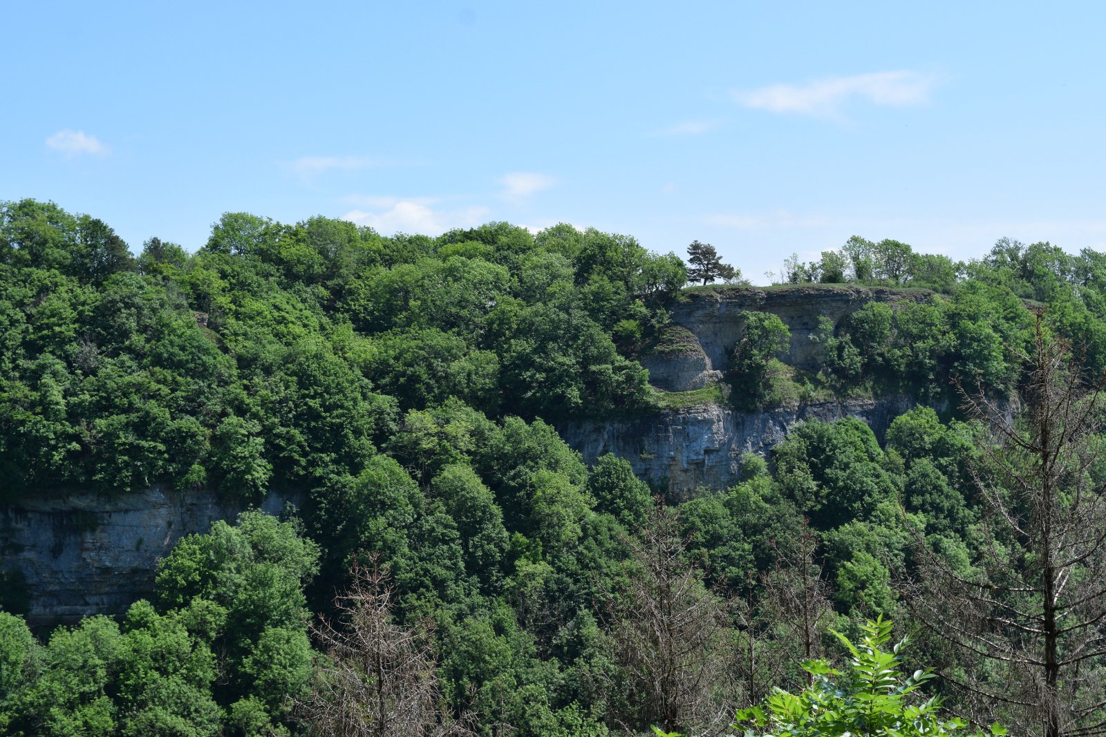 DSC_0329.JPG