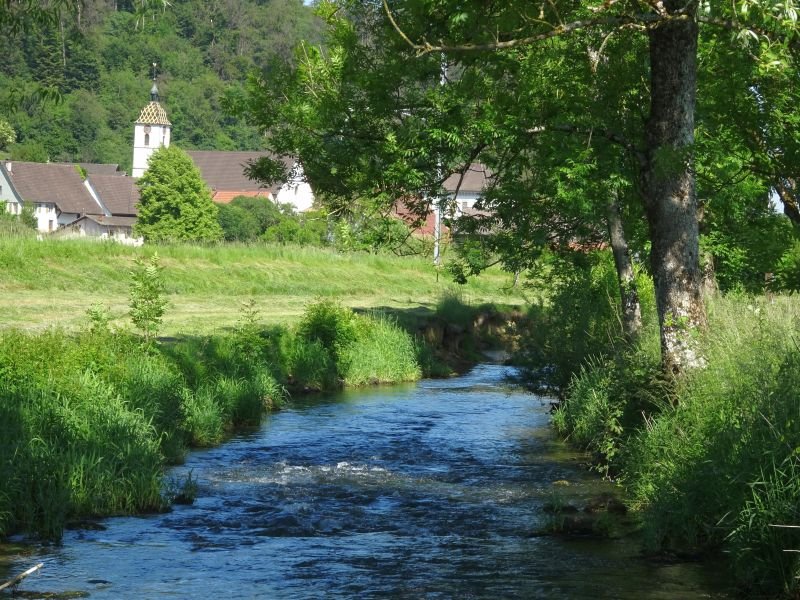 L'Allaine à Buix