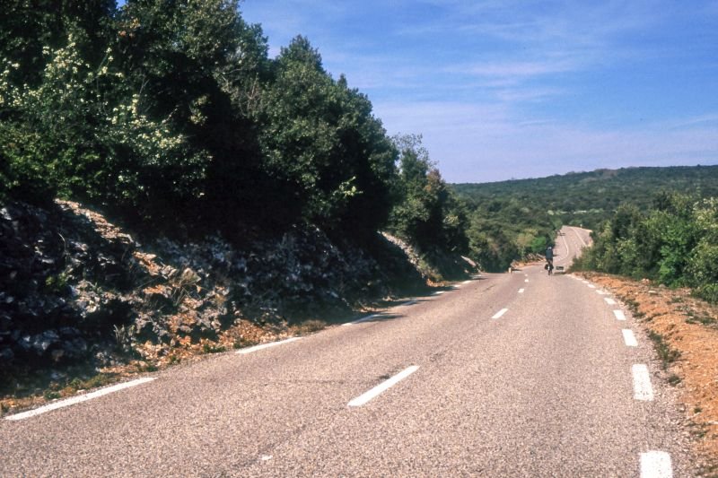 s428058A.jpg