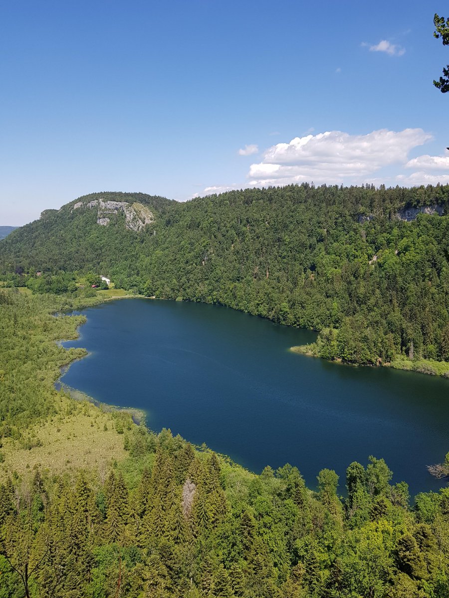Lac de Bonlieu.jpg