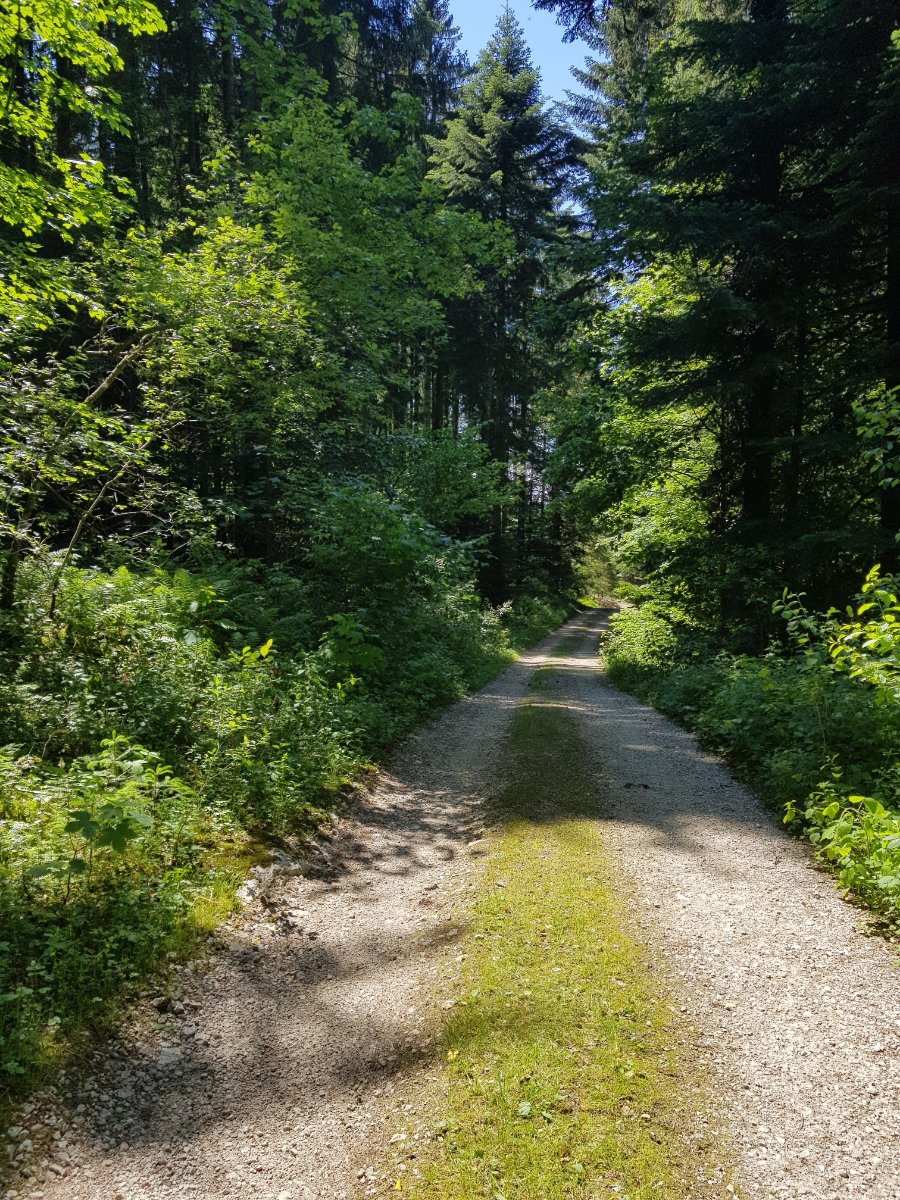 Route du Sapinet.jpg