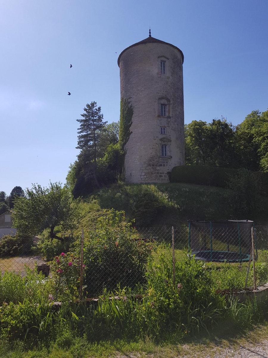 Tour de Clairvaux.jpg