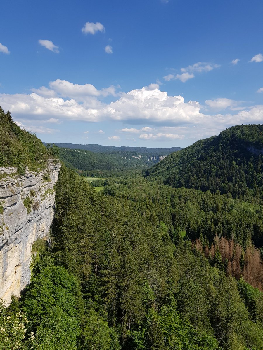 Vallée du Drouvenant et Creux de la Frasnée.jpg
