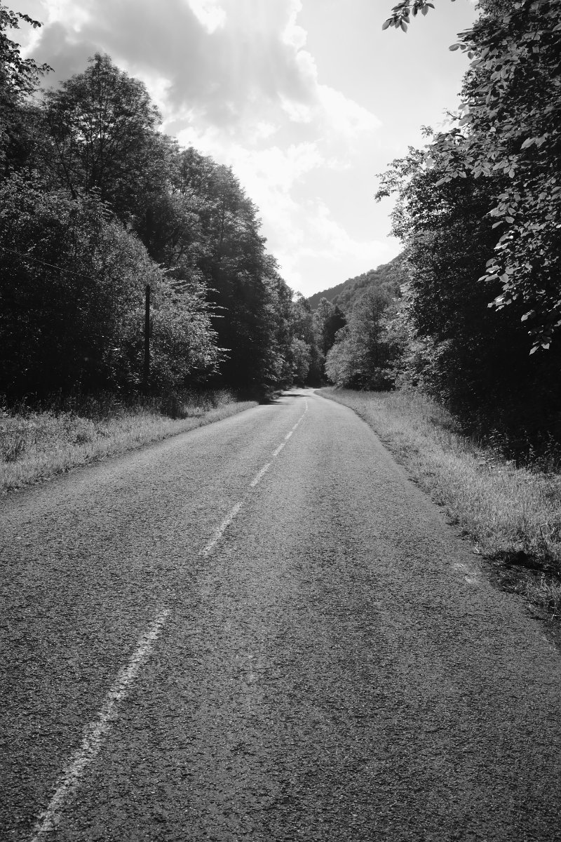2020_05 part 4 (041).jpg