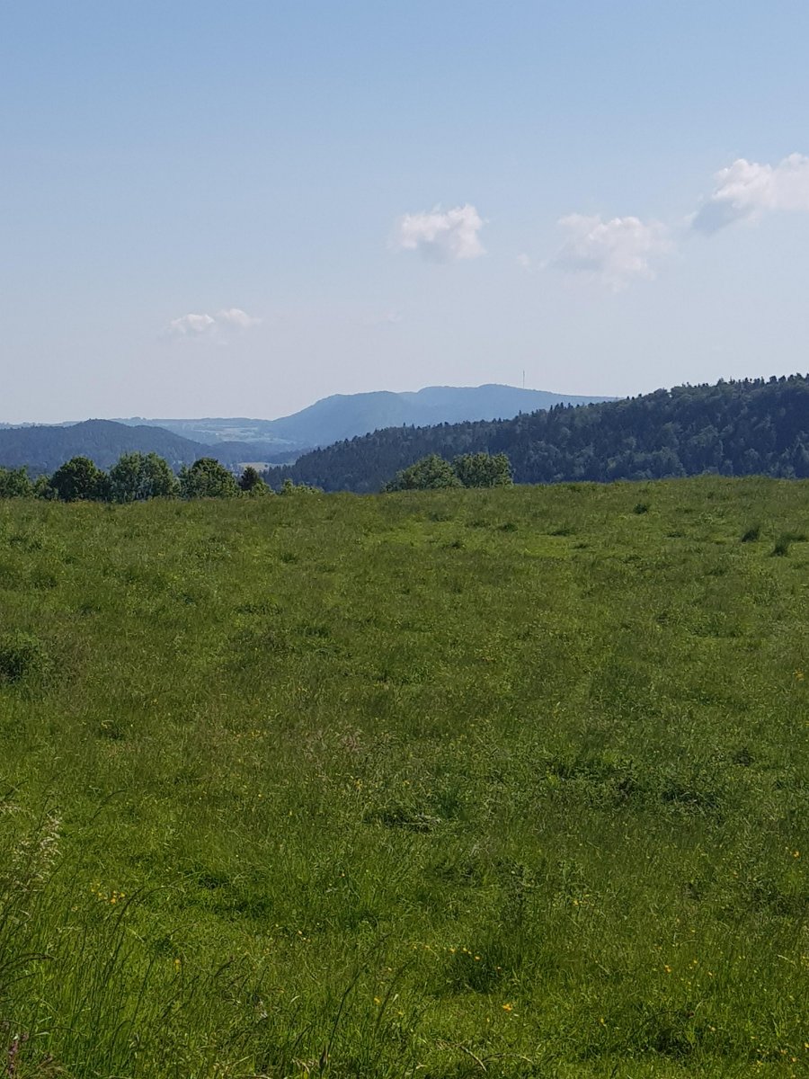 Point de vue depuis La Chaux du Dombief.jpg