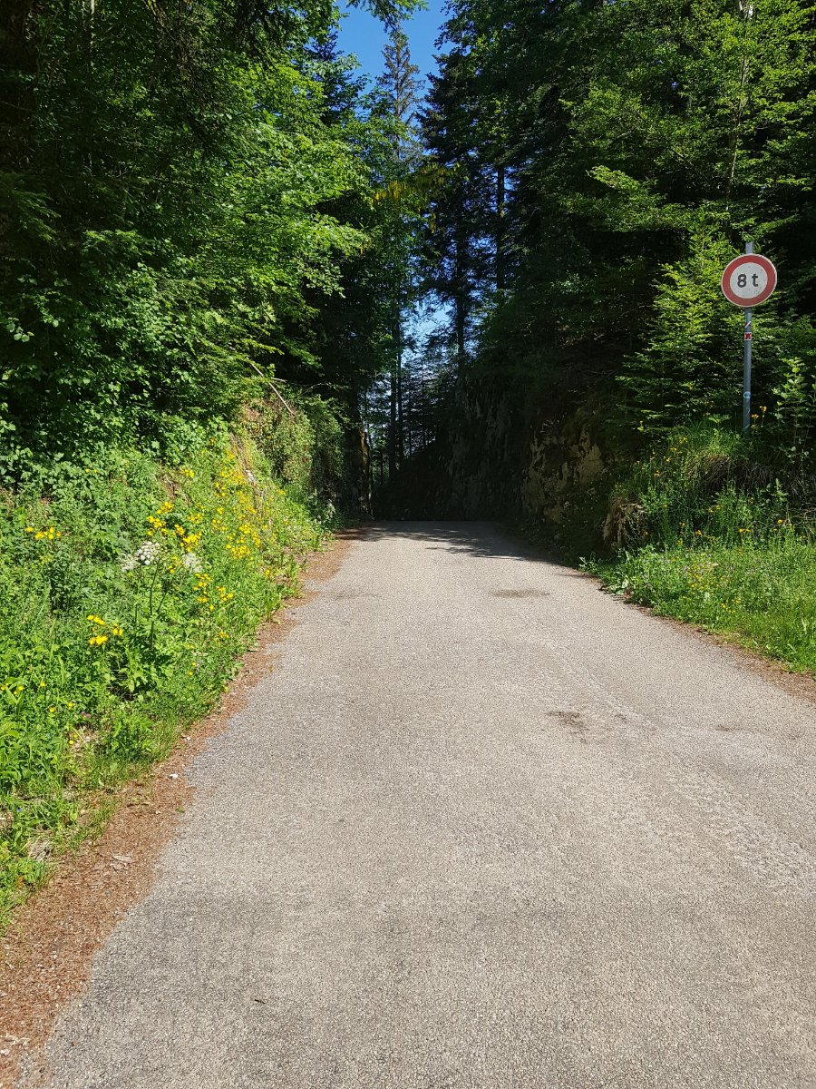 col du gyps 2.jpg