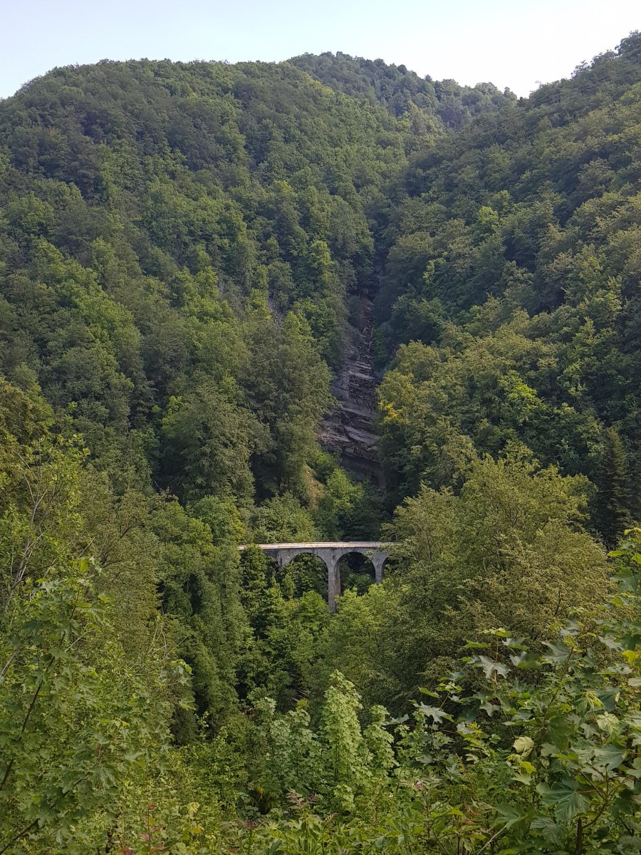 Viaduc du tram.jpg