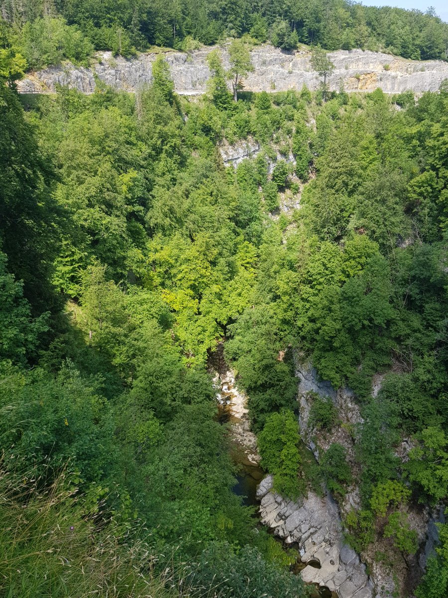 gorges de la saine.jpg