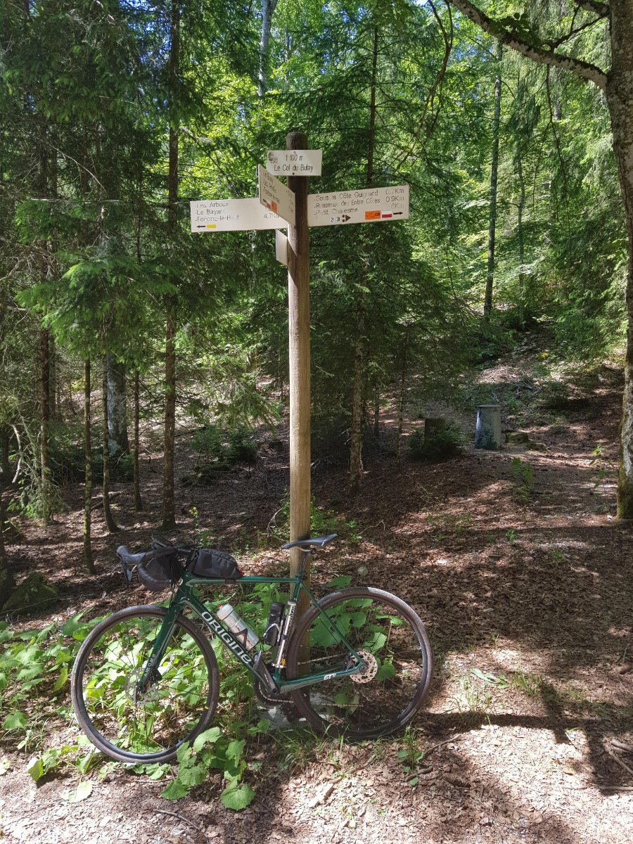 col du Bulay.jpg
