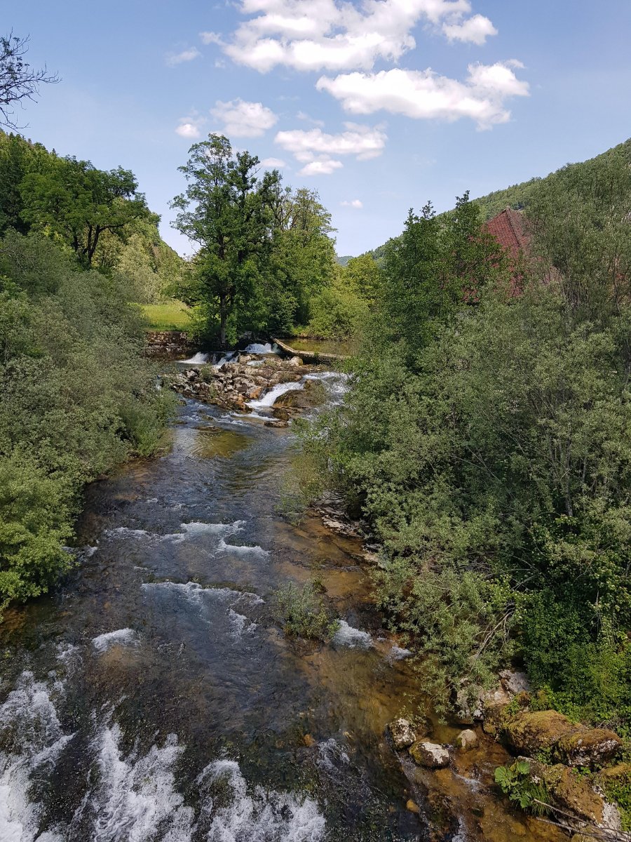 l'ain à syam.jpg