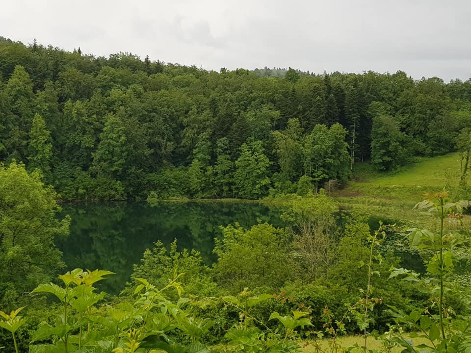 Lac du Vernois.jpg