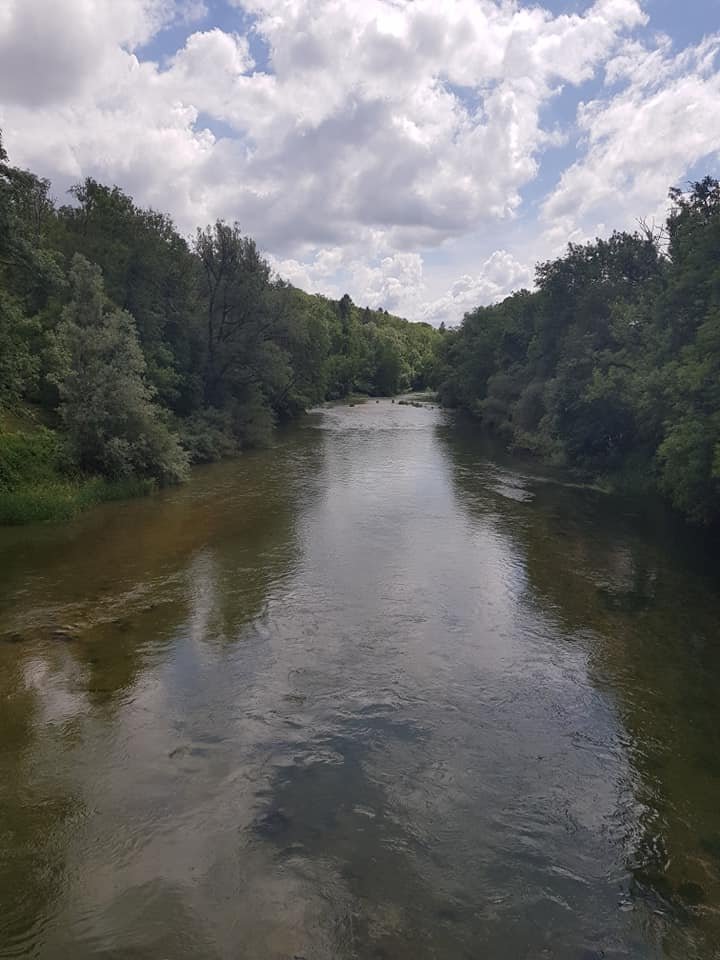 l'Ain à Chatillon.jpg