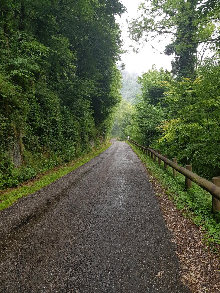 route de ladoye.jpg