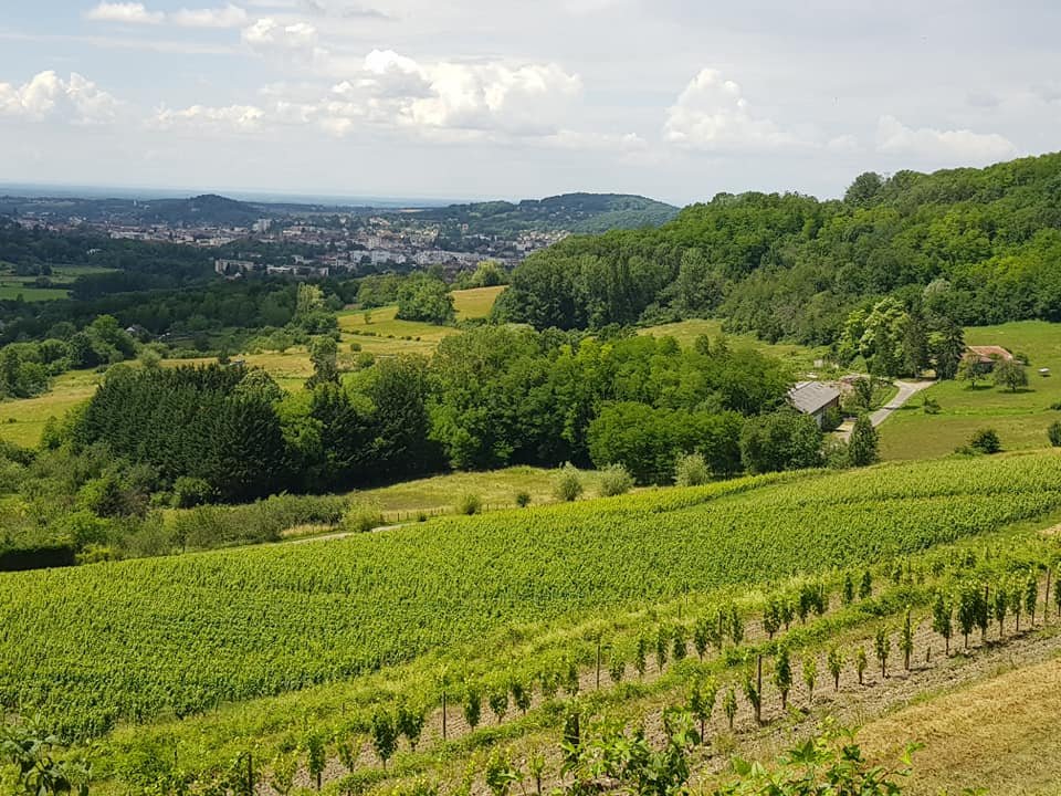lons depuis la voie verte.jpg