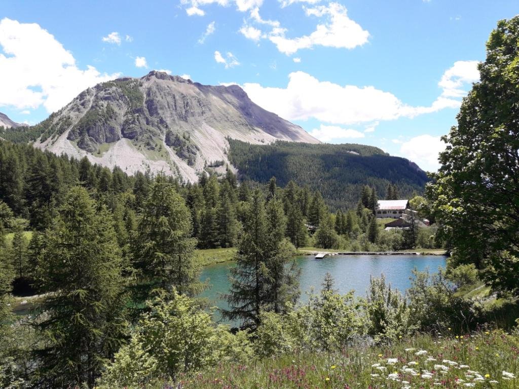 Sources du Var à Estenc