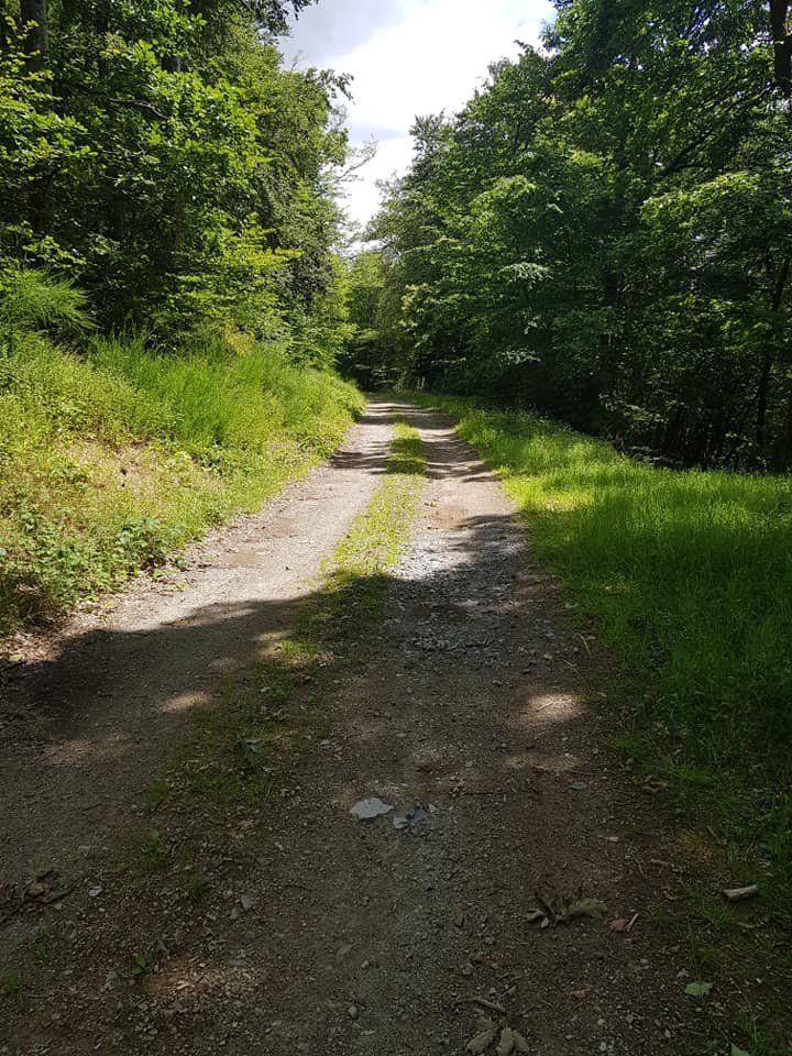 chemin du pas de l'âne.jpg