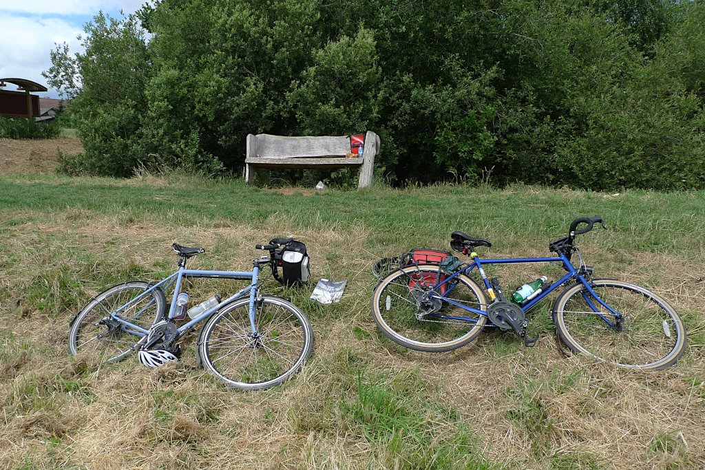 diest3.jpg