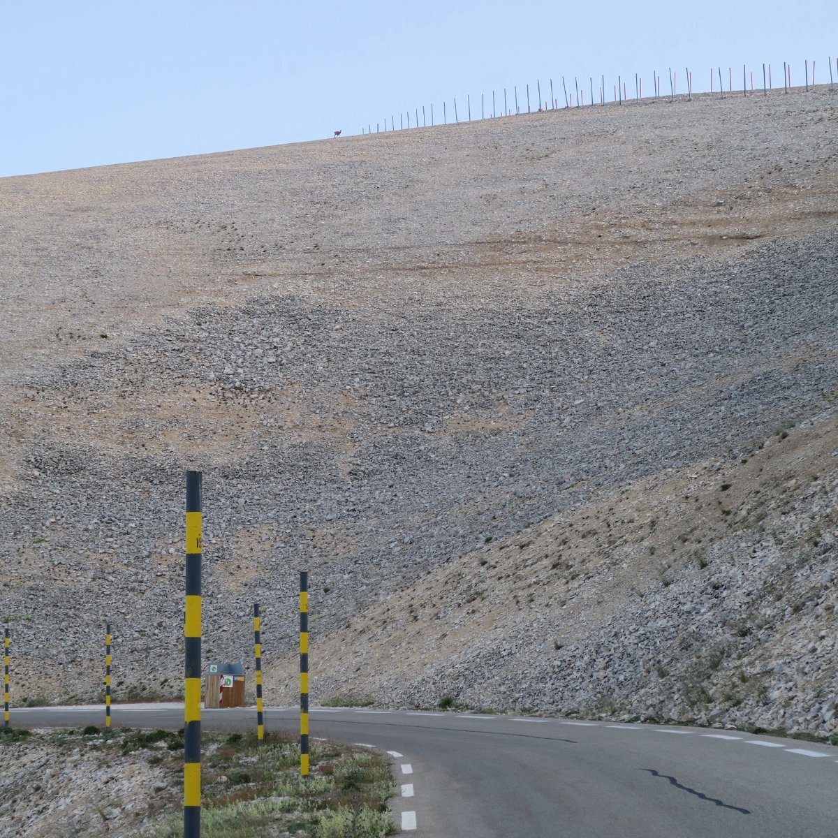 Chamois sous la crête
