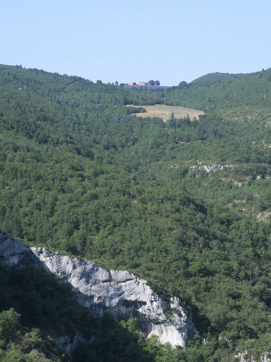 Gîte St Hubert