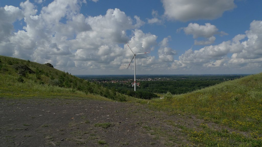 cmine5.jpg