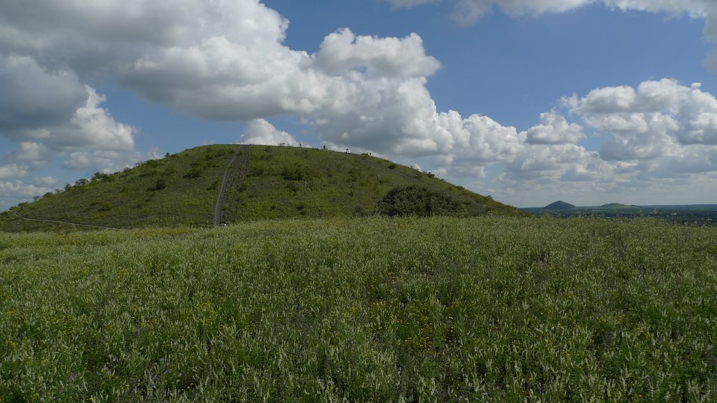 cmine6.jpg