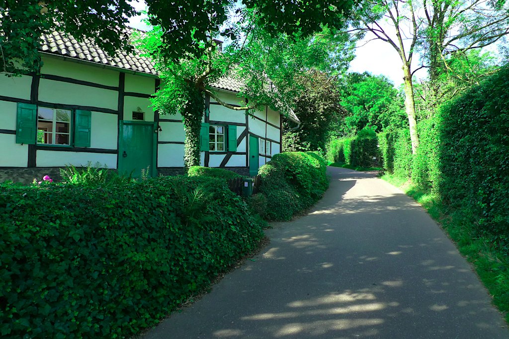 3F_07.JPG