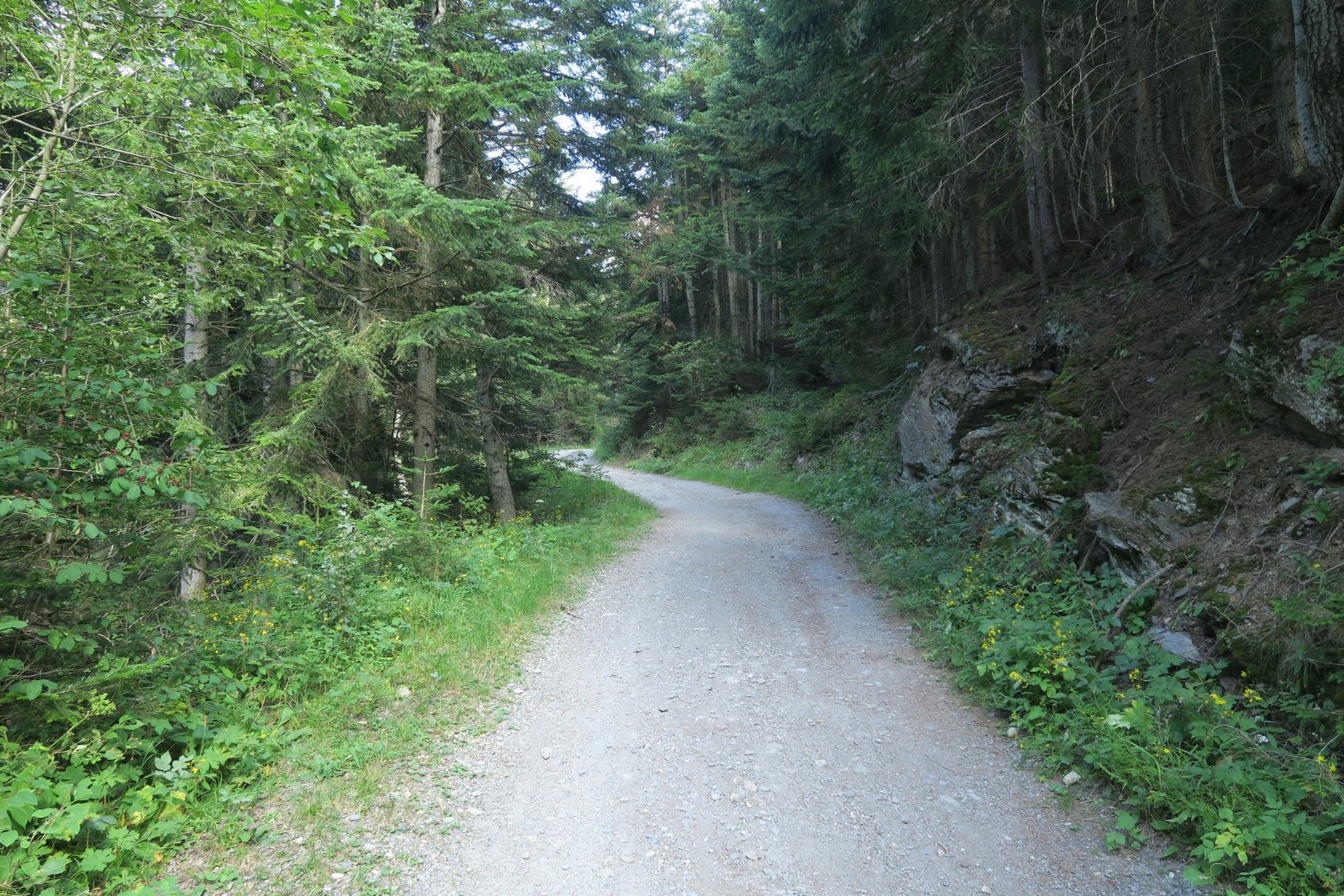 Chemin du Petit Bonheur