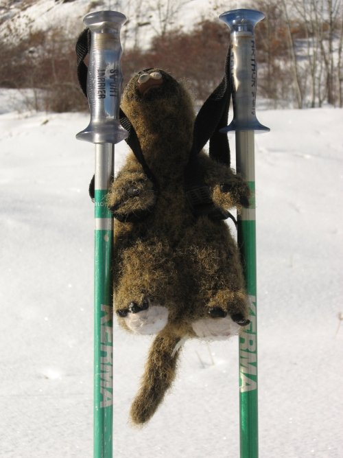 marmotte2.JPG