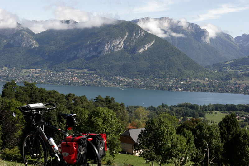 6905.jpg